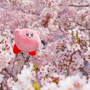 Meet your Posher, Cheng